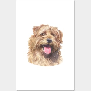 Copy of Norfolk Terrier Watercolor Art Posters and Art